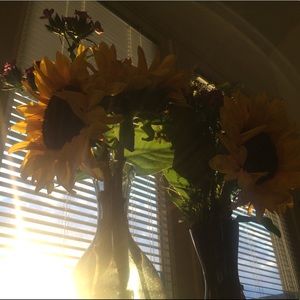 Meet your Posher, Juliebeth